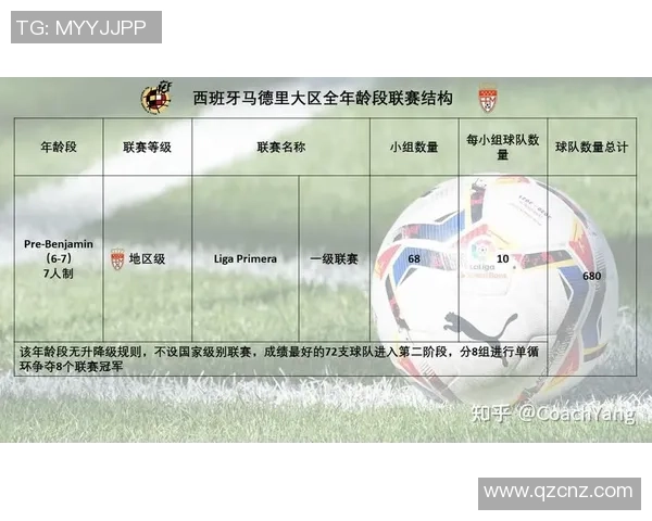 沈阳足球明星的崛起与成就:从青训到职业联赛的辉煌历程