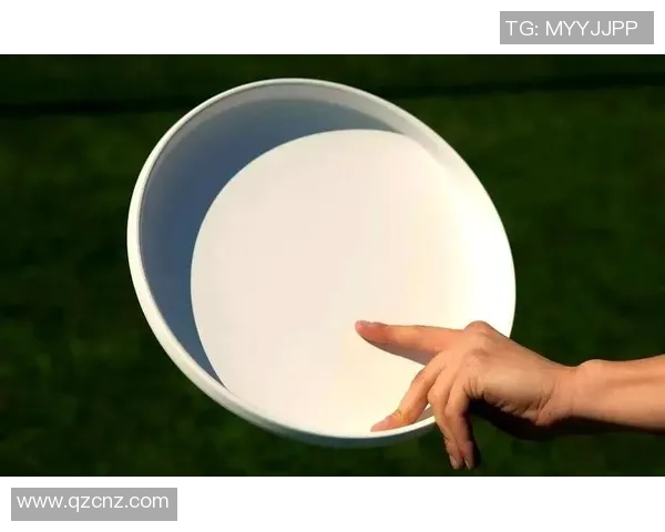 飞盘新手攻略：配合入门指南_1